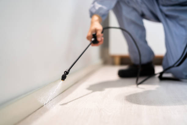 Licensed Pest Control service in Iowa, IA - Show Me Pest Control