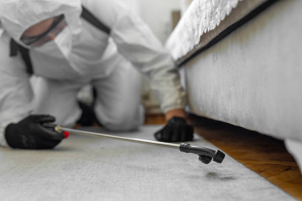 Professional Pest Control technician working in Iowa, IA